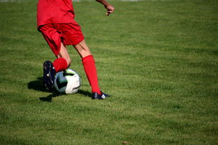 乐鱼体育官网-意甲裁判语义辅助判罚系统提升比赛公平性研究，意甲裁判球衣赞助商